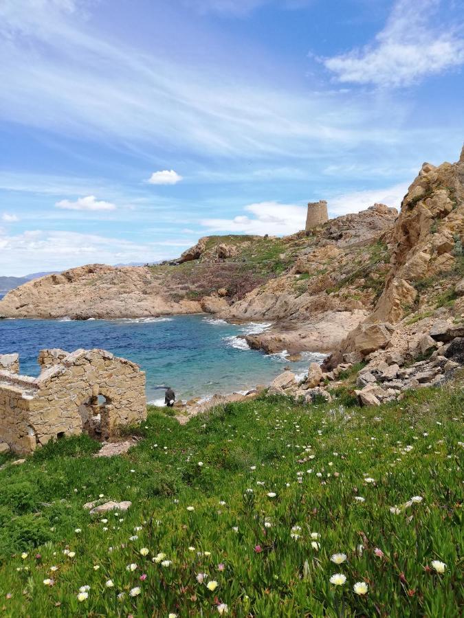 Joli Appartement En Corse Avec Piscine Belgodère Kültér fotó